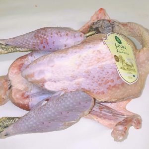 DINDE DE LA PAUMERAIS