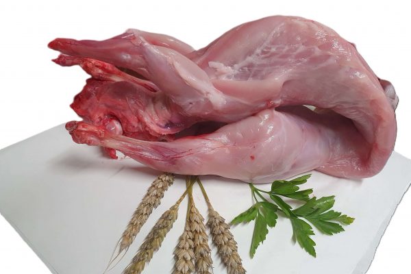 Lapin France de la Paumerais